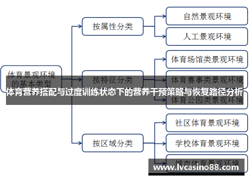体育营养搭配与过度训练状态下的营养干预策略与恢复路径分析